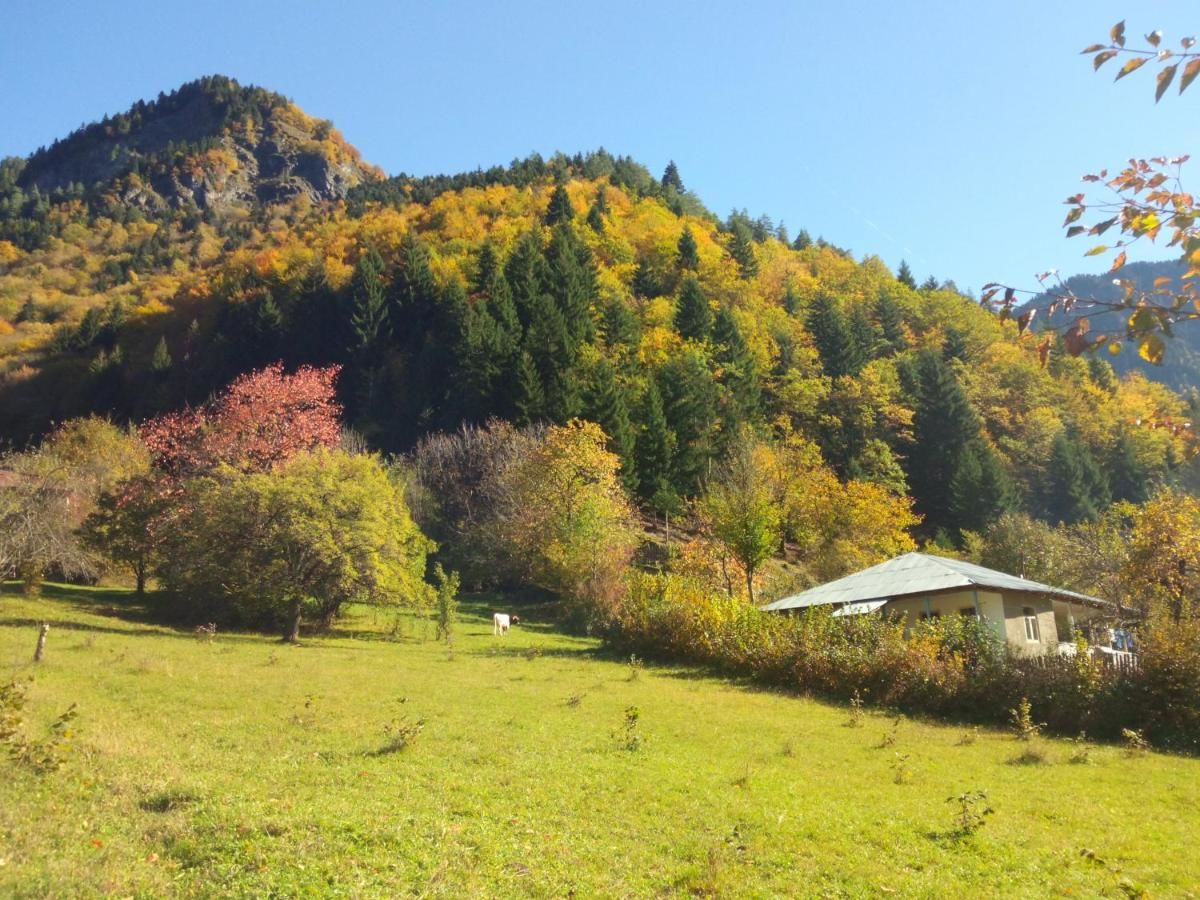 Загородные дома Country House Laia Khaishi-23